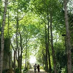 Boeira Garden Porto Gaia, Curio Collection By Hilton Вила-Нова-ди-Гая