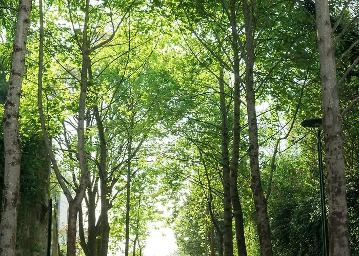 Boeira Garden Porto Gaia, Curio Collection By Hilton וילה נובה דה גאיה